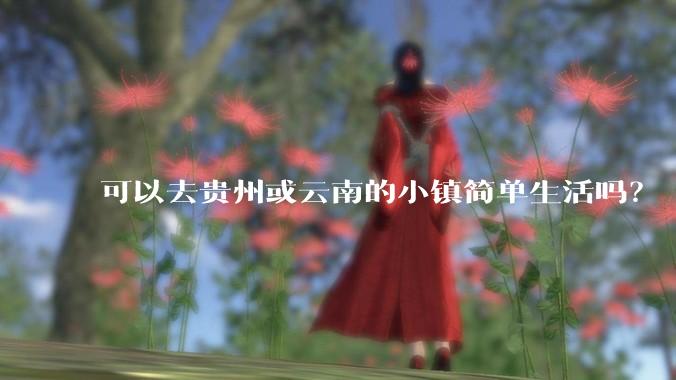 可以去贵州或云南的小镇简单生活吗？