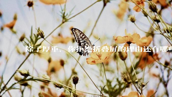 除了厚重，你拒绝折叠屏的理由还有哪些？什么样的折叠屏才能打动你？