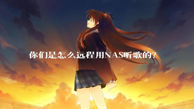 你们是怎么远程用NAS听歌的？