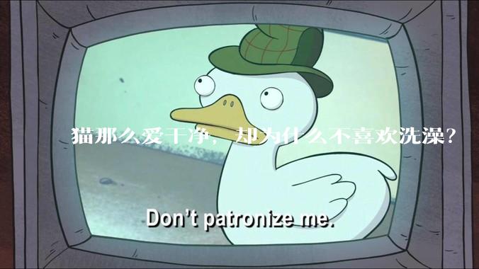 猫那么爱干净，却为什么不喜欢洗澡？