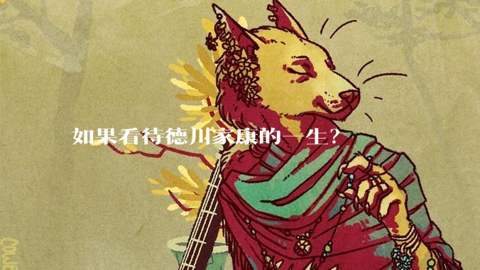 如果看待德川家康的一生？