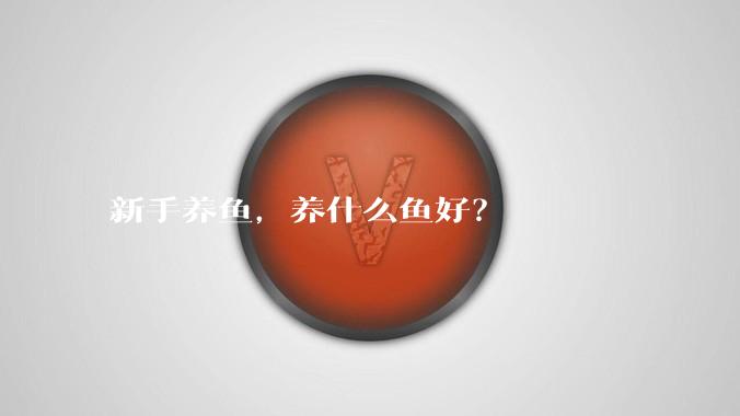 新手养鱼，养什么鱼好？