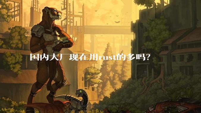 国内大厂现在用rust的多吗？