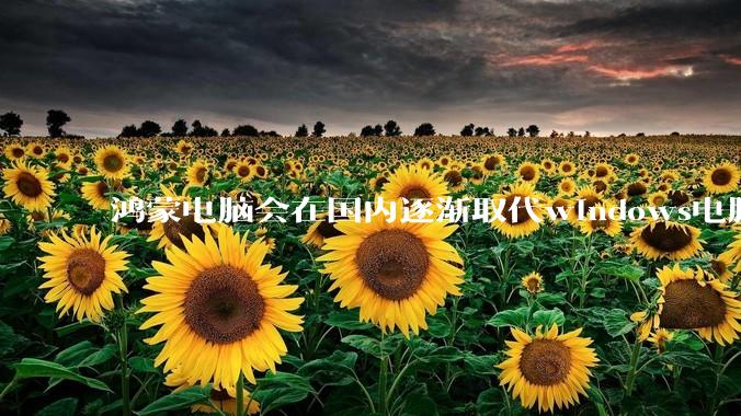 鸿蒙电脑会在国内逐渐取代windows电脑吗？