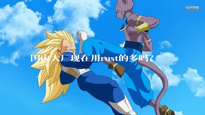 国内大厂现在用rust的多吗？