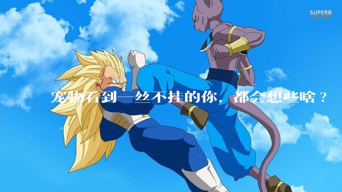 宠物看到一丝不挂的你, 都会想些啥?